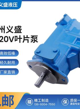 全新打包机液压泵2520V-25A1421A12-1AABBCC86DD-22R定量双联包邮