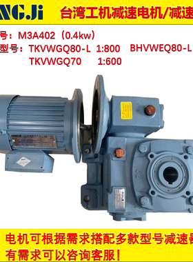 新款涡轮减速机TKBE80-D-L/50:1/TKA60/1:60马达减速器现货