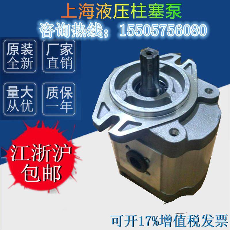 新款四川长江齿轮泵CBK1010-B1FR武长江液压高压齿轮泵包邮