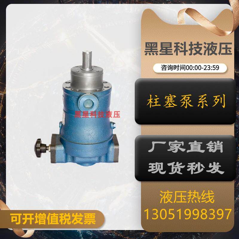 新款中通厂10/25/32/40/63/80/100/160/250SCY14-1B 轴向包邮