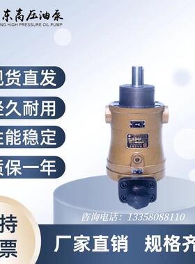 新款启东高压10/25/32/40/63/80/108/160SCY14-1B 轴向包邮