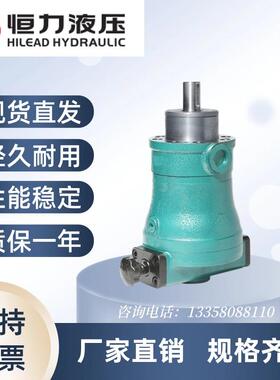 全新 10/25/32/40/63/80/100/108/160SCY14-1B轴包邮