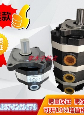 新款装载机铲车齿轮泵 CBFC10 18 20 25 32 40 50齿轮油泵 液现货