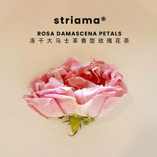striama冻干大马士革玫瑰花茶花冠大朵大花冠罐装原色无硫农产品