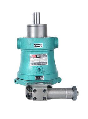 新款10PCY25PCY40PCY63PCY80PCY100PCY160PCY250PCY14-1B轴向包邮