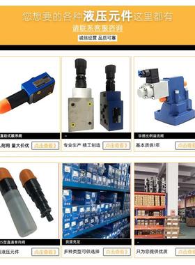 新款直动式顺序阀DZ6DP1-50B/75 DZ6DP2-50B/210YM包邮