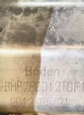 新款Boden博顿液压齿轮泵BHP2B0D12T0F1 BHP2B0D16T0F1 BHP2B包邮