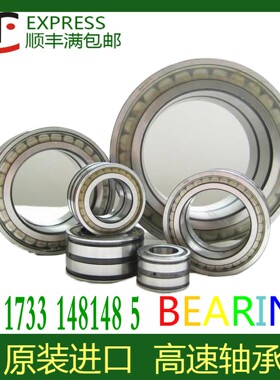 德国进口轴承RSL SL183009 183010 183011 183012 183013-A-XL-C3