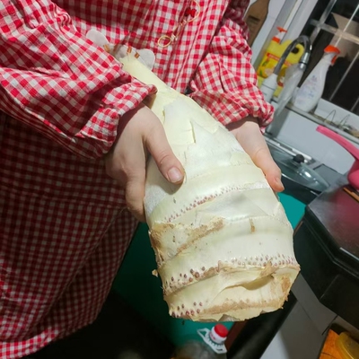 顺丰  纯野生新鲜现挖冬笋 毛竹笋黄泥龚浙江杭州富阳春笋甜嫩笋