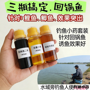 黑坑专用钓鱼小药 鲫鲤草通杀 不死窝留鱼久穿透力强饵料诱食剂