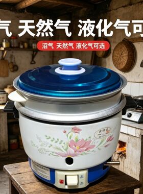 2L分体式沼气饭锅天然气饭锅液化气饭锅户外渔民煮饭锅气锅电饭