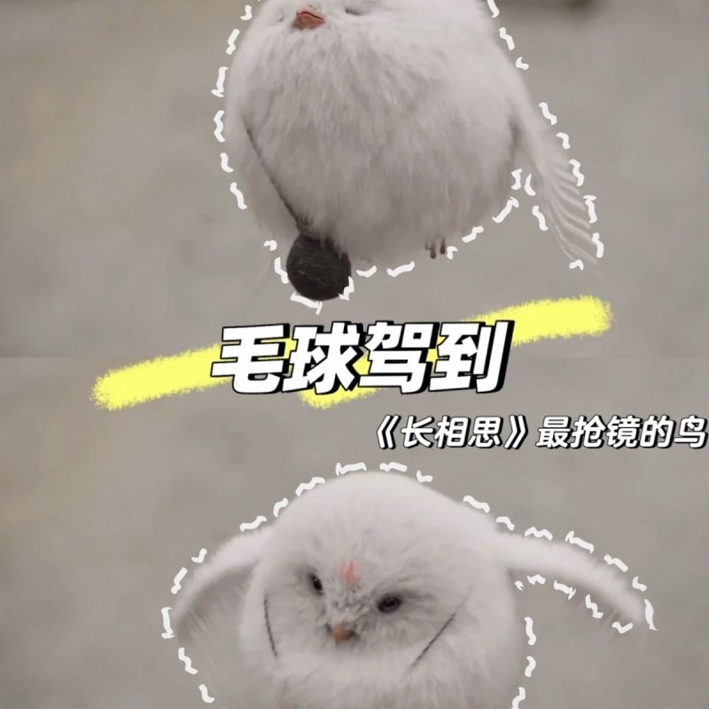 长相思毛球挂件宠物小狐狸朏朏毛球亚克力双面可爱书包.挂饰钥匙