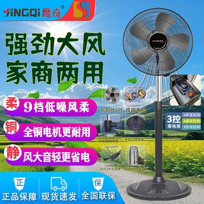 鹰奇电风扇落地扇强力广角送风
