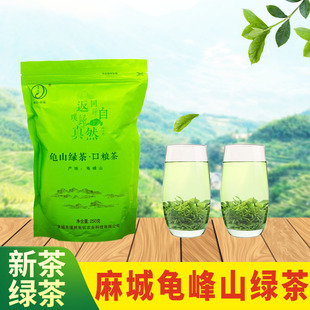 麻城龟山绿茶野生茶春茶高山云雾茶日照绿茶特级香浓毛尖新茶