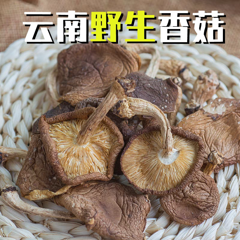 纯野生香菇干货250g云南特产农家干蘑菇精选特级新鲜香茹菌菇食材