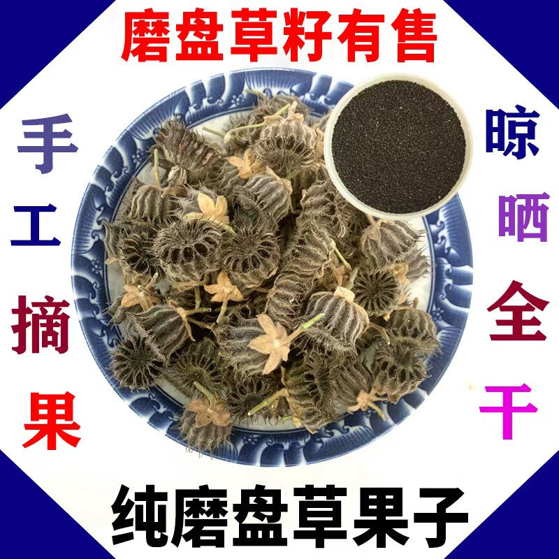 野生磨盘草果子磨盘草籽磨盘果响耳草果耳响草果籽干纯籽100g包邮