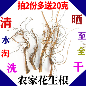 花生根 花生根根不带花生茎花生的根花生的根头煲汤入药100克包邮