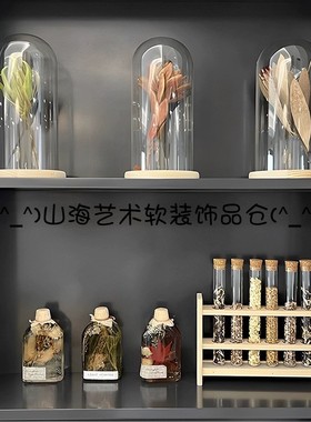 现代样板间书房书柜植物主题浮游花瓶花艺摆件试管干花标本装饰品