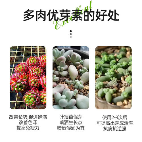 领沃优芽素多肉专用爆芽素促生长营养液促侧芽花卉绿植发芽矮胖素