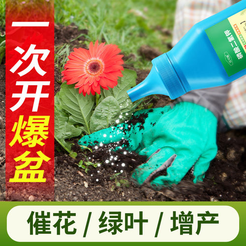 定制磷酸二氢钾肥料家用花卉绿植通用型催花促花延花期正品