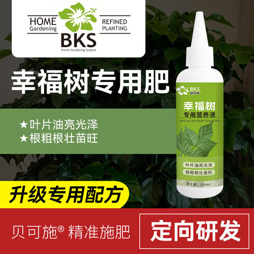 贝可施幸福树专用营养液治黄叶枯叶烂叶绿叶壮根园艺发财树平安树
