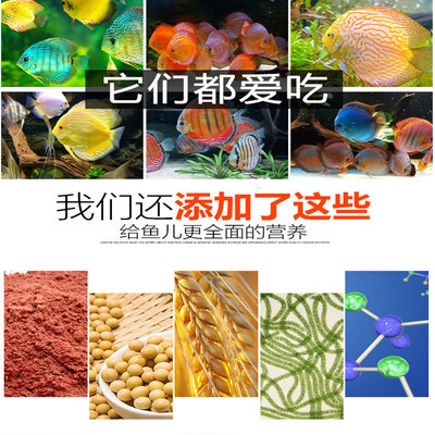 阿穆斯七彩神仙鱼专用饲料埃及神仙燕鱼下沉鱼食颗粒热带观赏鱼粮