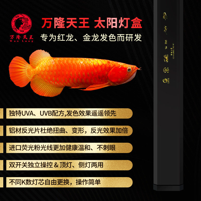 龙鱼专用发色灯盒 6700K防水荧光灯 金龙红龙增艳诱色侧挂灯