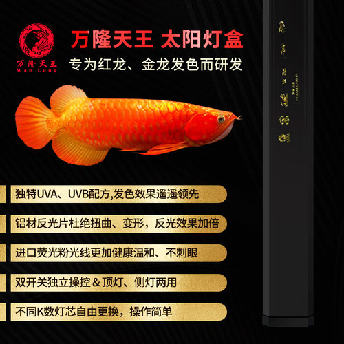 龙鱼专用发色灯盒 6700K防水荧光灯 金龙红龙增艳诱色侧挂灯
