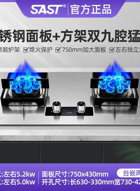 SAST/先科煤气灶双灶家用天然气台式液化气嵌入式燃气灶九腔猛火