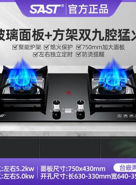 SAST/先科煤气灶双灶家用天然气台式液化气嵌入式燃气灶九腔猛火
