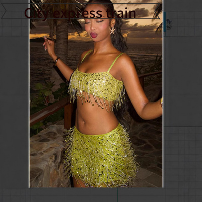 Women'ssequinedembroideredV-ne