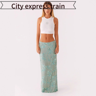 embroidered sequined neck dres亮片刺绣包臀半 Women sexy