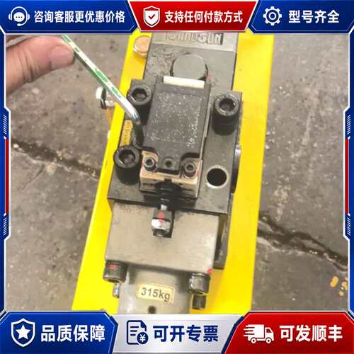 议价台湾山田顺SANDSUN过载保护泵VS10AA-960，31可维修