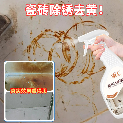 盾王柔光砖清洁剂除锈迹