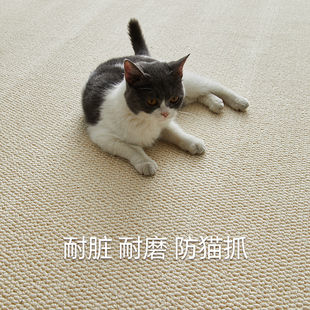 地毯客厅2026新款防水防污免洗可擦仿剑麻沙发卧室飘窗防猫抓地垫