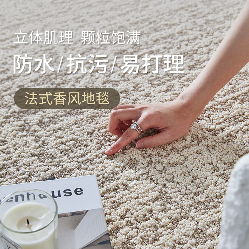 真防水防污小香风地毯客厅2025新款轻奢高级免打理地垫卧室床边毯