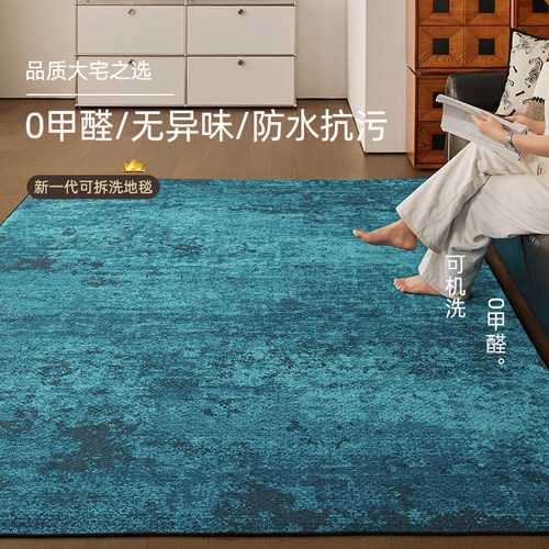 可拆洗地毯多巴胺客厅2026新款
