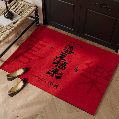 入户地垫丝圈红色防滑门内地毯