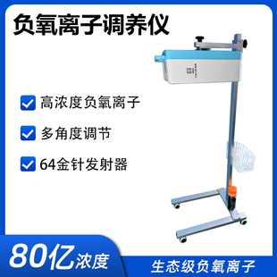 负离子高浓度调氧仪家用美容养颜改善睡眠负离子养生仪调养理疗仪