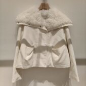 包邮 2025冬季 AIVEI 顺丰 艾薇国内专柜正品 代购 新品 棉上衣XRV7G20B