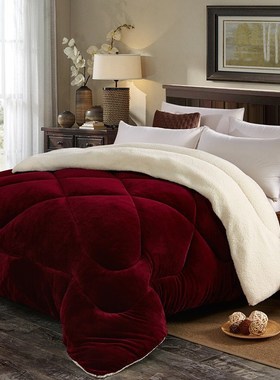 winter quilt comforter duvet blanket beddings bed cover