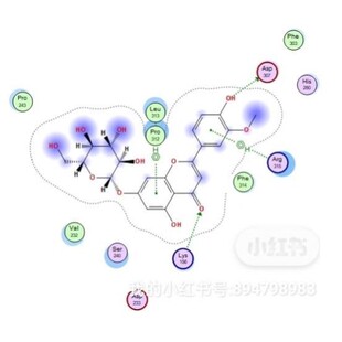 分子对接二维三维可视化作图