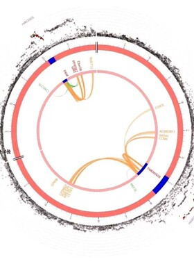 网络药理学分子对接 cytoscape作图 go kegg富集ppi网络 分子对接
