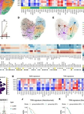 单细胞转录组分析生信分析医学分析SCI绘图