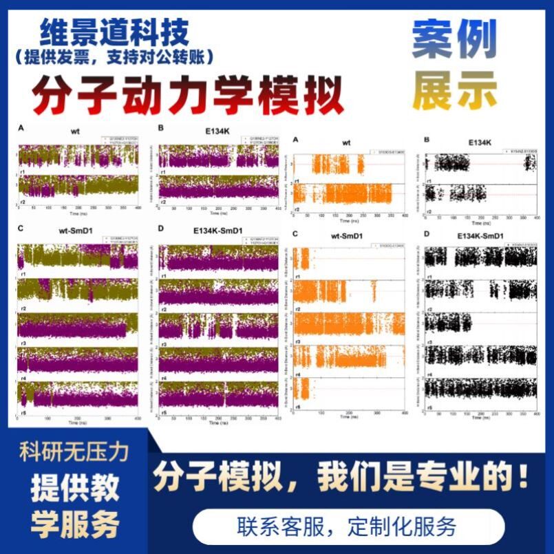 分子动力学模拟/分子对接/MM_Gbsa/pbsa计算/能量优化/作图分析