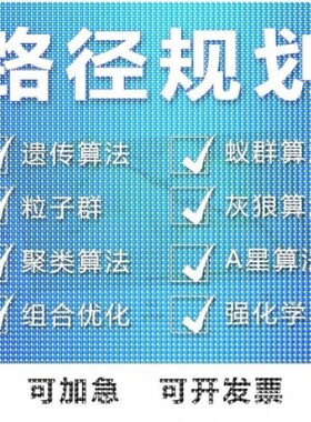 matlab路径规划遗传蚁群蜂群狼群算法代编python强化学习组合优化