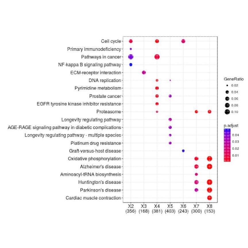 miRNA靶基因预测(GEO数据库/TCGA数据库/疾病miRNA/lncRNA靶基因)