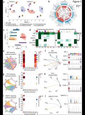 测序数据生信分析单细胞空间转录组蛋白组WGS甲基化16S宏基因WES