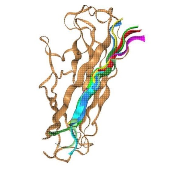 多肽蛋白对接/多肽-多肽对接/蛋白小分子相互作用模式分析