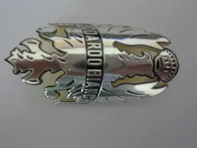 Autocollant pour vélo BIANCHI - Ref 2276324 Image 4